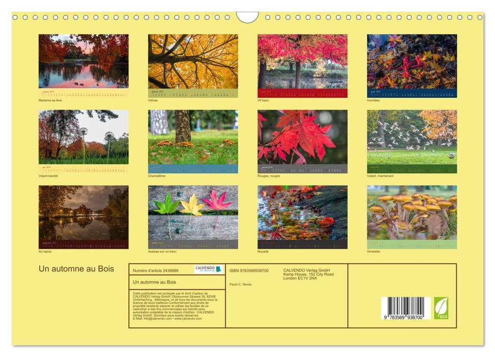 Un automne au Bois (CALVENDO Calendrier mensuel 2027)