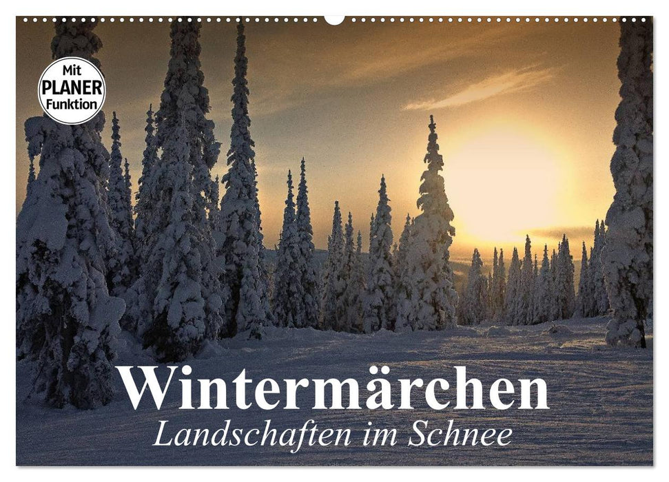 Wintermärchen. Landschaften im Schnee (CALVENDO Wandkalender 2027)
