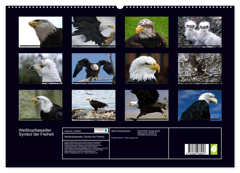 Weißkopfseeadler. Symbol der Freiheit (CALVENDO Premium Wandkalender 2027)