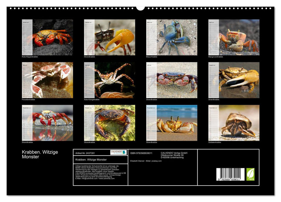 Krabben. Witzige Monster (CALVENDO Premium Wandkalender 2027)