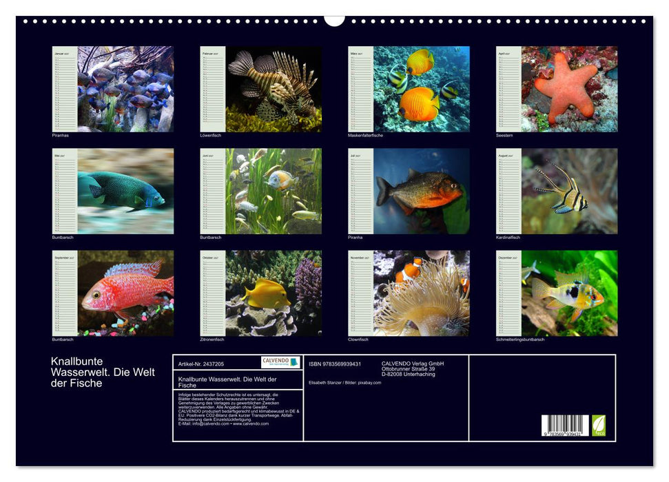 Knallbunte Wasserwelt. Die Welt der Fische (CALVENDO Wandkalender 2027)