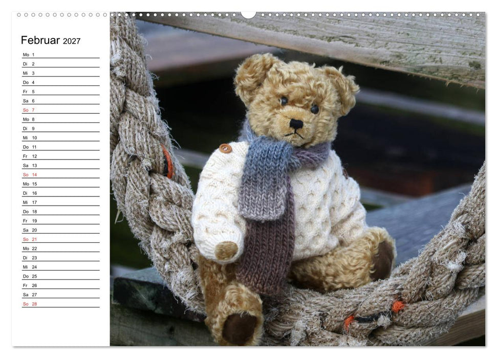 Teddy unterwegs (CALVENDO Premium Wandkalender 2027)