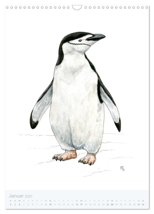 Pinguine - 13 Illustrationen (CALVENDO Wandkalender 2027)
