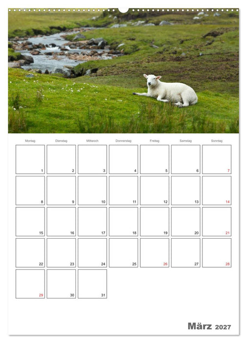 Schottland für Naturliebhaber (CALVENDO Wandkalender 2027)