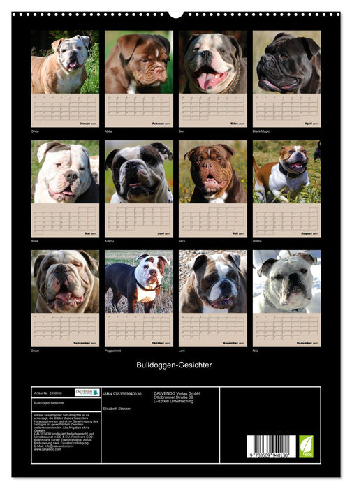 Bulldoggen-Gesichter (CALVENDO Premium Wandkalender 2027)