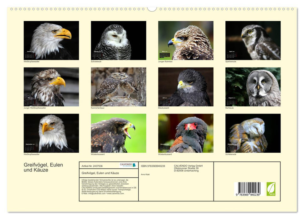 Greifvögel, Eulen und Käuze (CALVENDO Premium Wandkalender 2027)