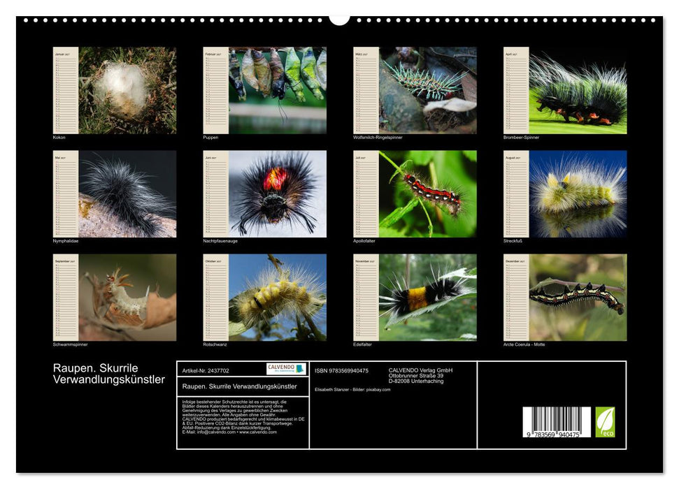 Raupen. Skurrile Verwandlungskünstler (CALVENDO Premium Wandkalender 2027)