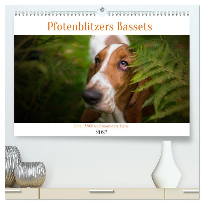 Der Basset, eine LANGE und besondere Liebe (CALVENDO Premium Wandkalender 2027)