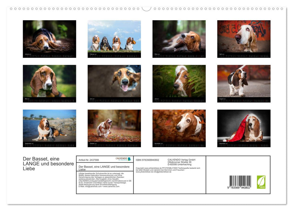 Der Basset, eine LANGE und besondere Liebe (CALVENDO Premium Wandkalender 2027)