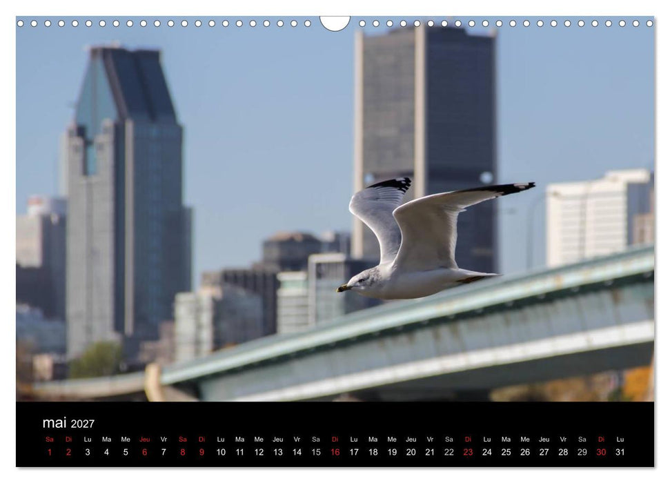 MONTRÉAL (CALVENDO Calendrier mensuel 2027)