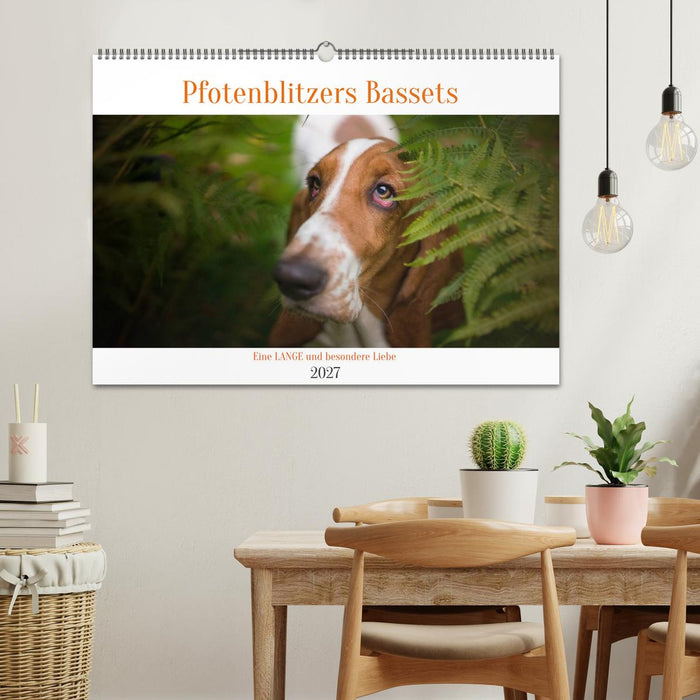 Der Basset, eine LANGE und besondere Liebe (CALVENDO Wandkalender 2027)