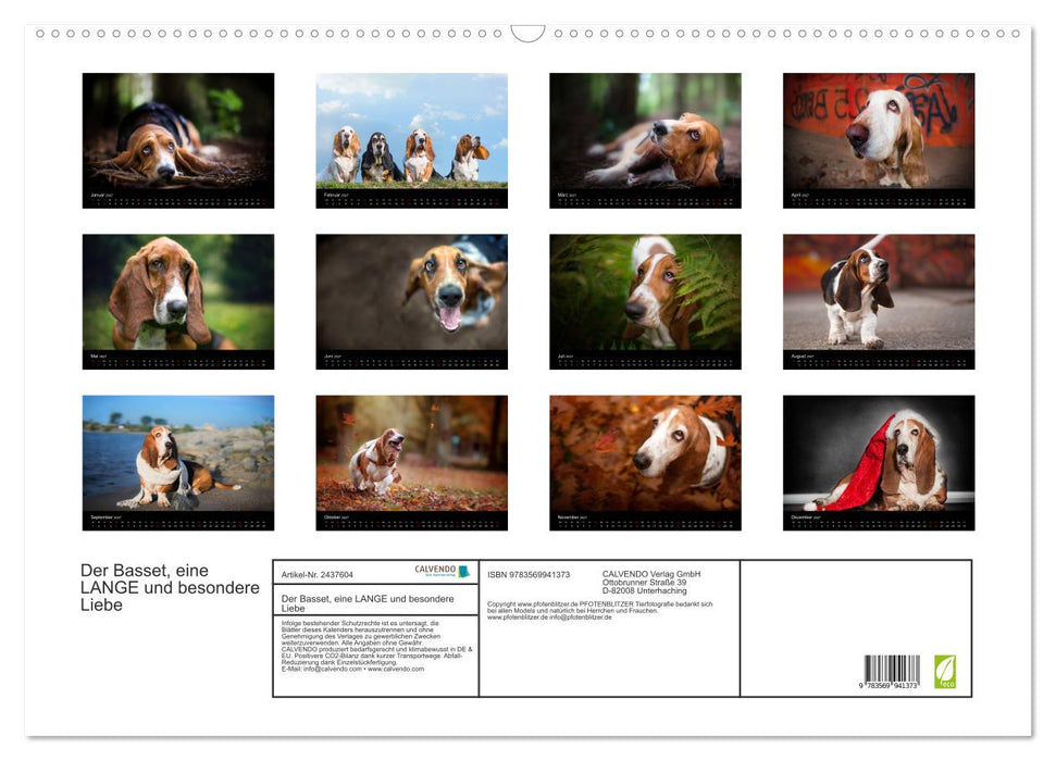 Der Basset, eine LANGE und besondere Liebe (CALVENDO Wandkalender 2027)