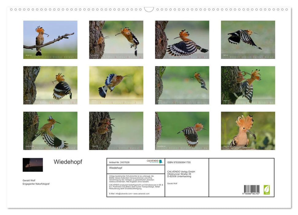 Wiedehopf (CALVENDO Wandkalender 2027)