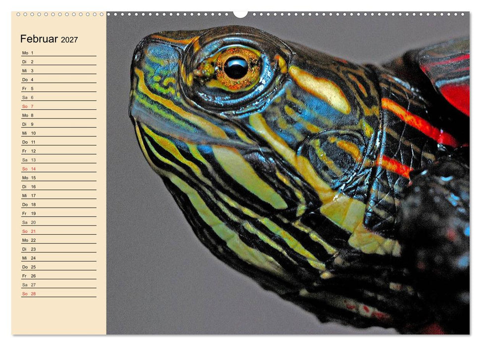 Reptilien. Schlangen, Echsen und Co. (CALVENDO Wandkalender 2027)