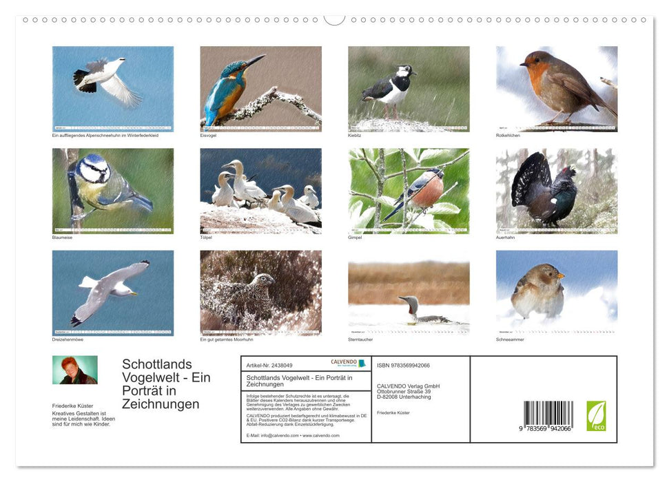 Schottlands Vogelwelt - Ein Porträt in Zeichnungen (CALVENDO Premium Wandkalender 2027)