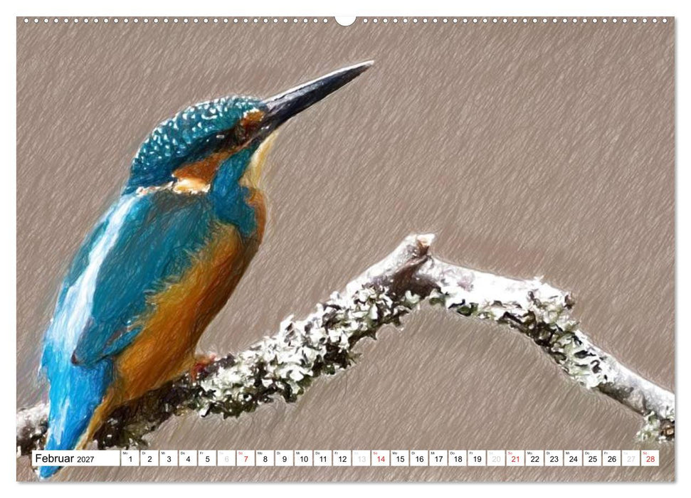 Schottlands Vogelwelt - Ein Porträt in Zeichnungen (CALVENDO Premium Wandkalender 2027)