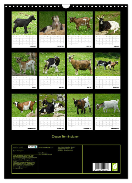 Ziegen Terminplaner (CALVENDO Wandkalender 2027)