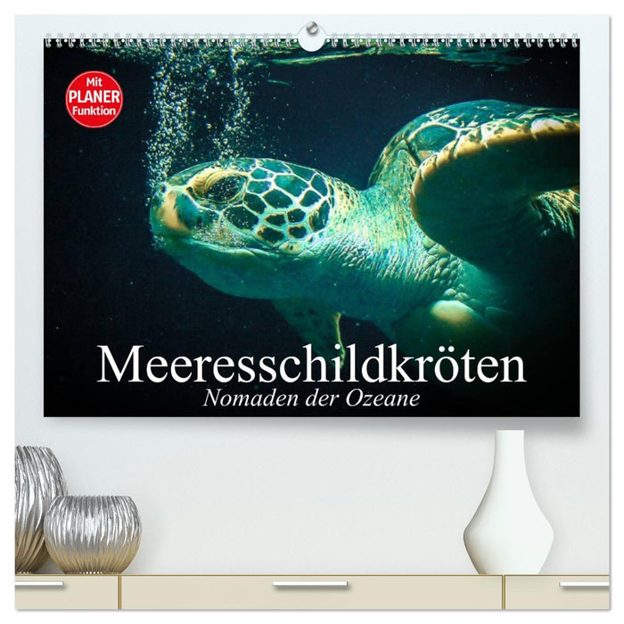 Meeresschildkröten. Nomaden der Ozeane (CALVENDO Premium Wandkalender 2027)