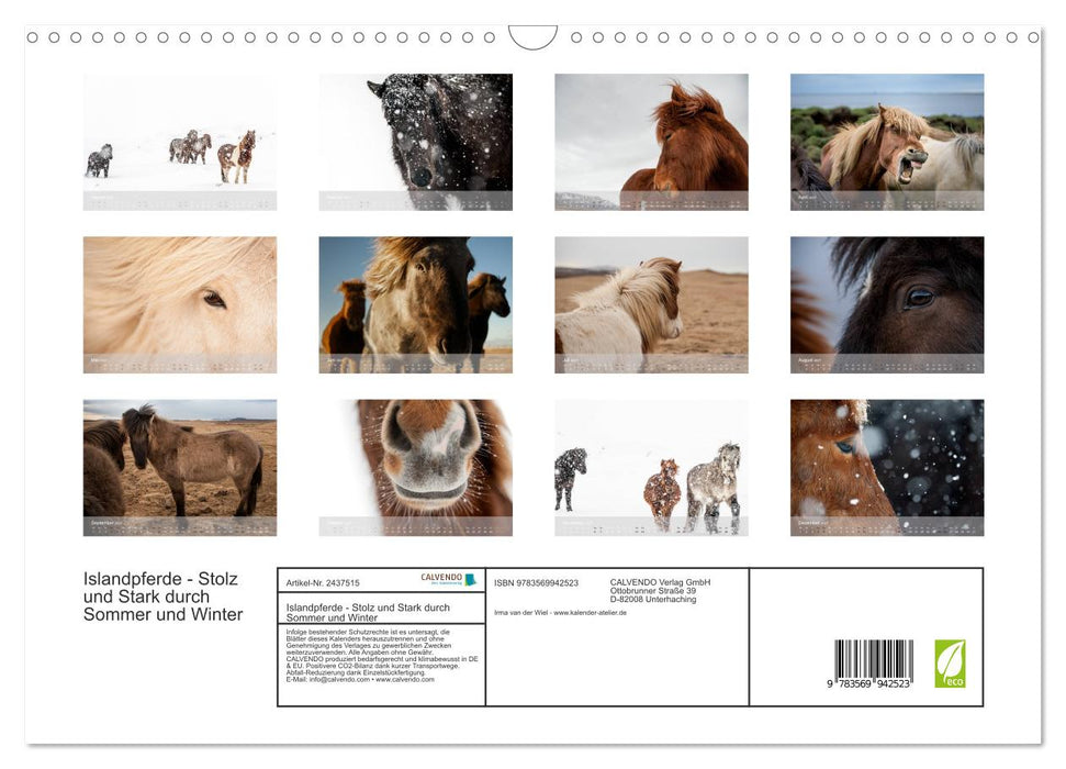 Islandpferde - Stolz und Stark durch Sommer und Winter (CALVENDO Wandkalender 2027)