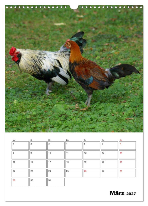 Hühner Terminplaner (CALVENDO Wandkalender 2027)
