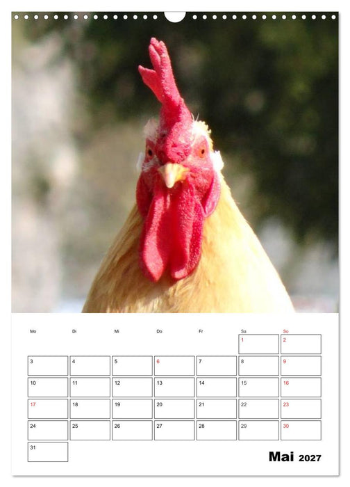 Hühner Terminplaner (CALVENDO Wandkalender 2027)