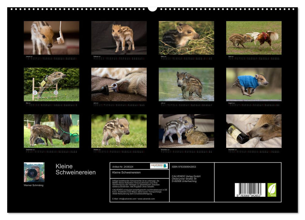 Kleine Schweinereien (CALVENDO Premium Wandkalender 2027)