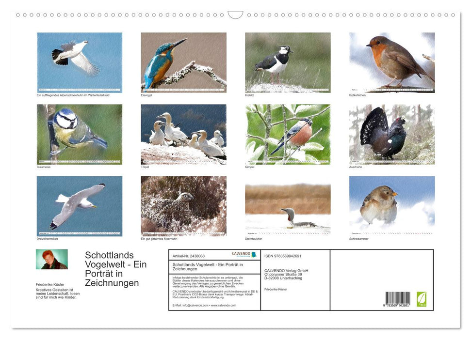 Schottlands Vogelwelt - Ein Porträt in Zeichnungen (CALVENDO Wandkalender 2027)
