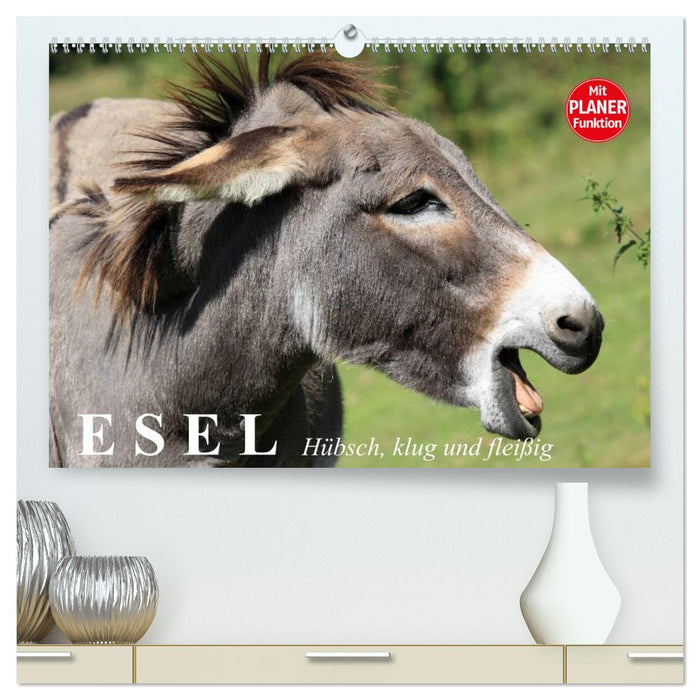 Esel. Hübsch, klug und fleißig (CALVENDO Premium Wandkalender 2027)