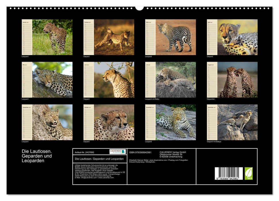 Die Lautlosen. Geparden und Leoparden (CALVENDO Premium Wandkalender 2027)