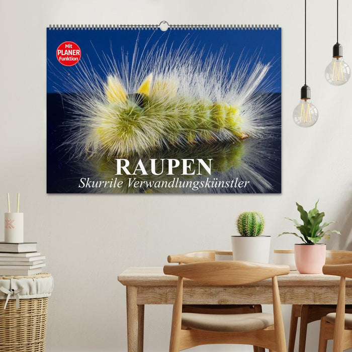 Raupen. Skurrile Verwandlungskünstler (CALVENDO Wandkalender 2027)