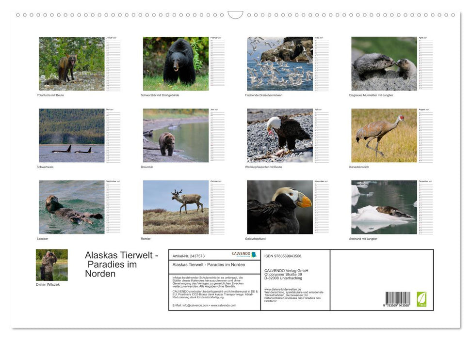Alaskas Tierwelt - Paradies im Norden (CALVENDO Wandkalender 2027)