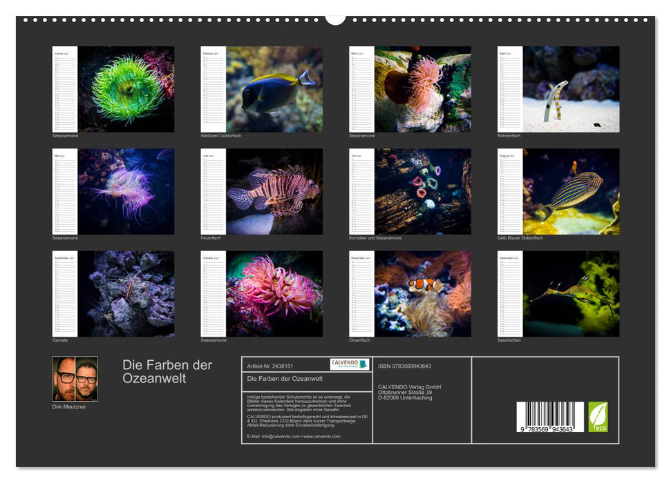Die Farben der Ozeanwelt (CALVENDO Premium Wandkalender 2027)
