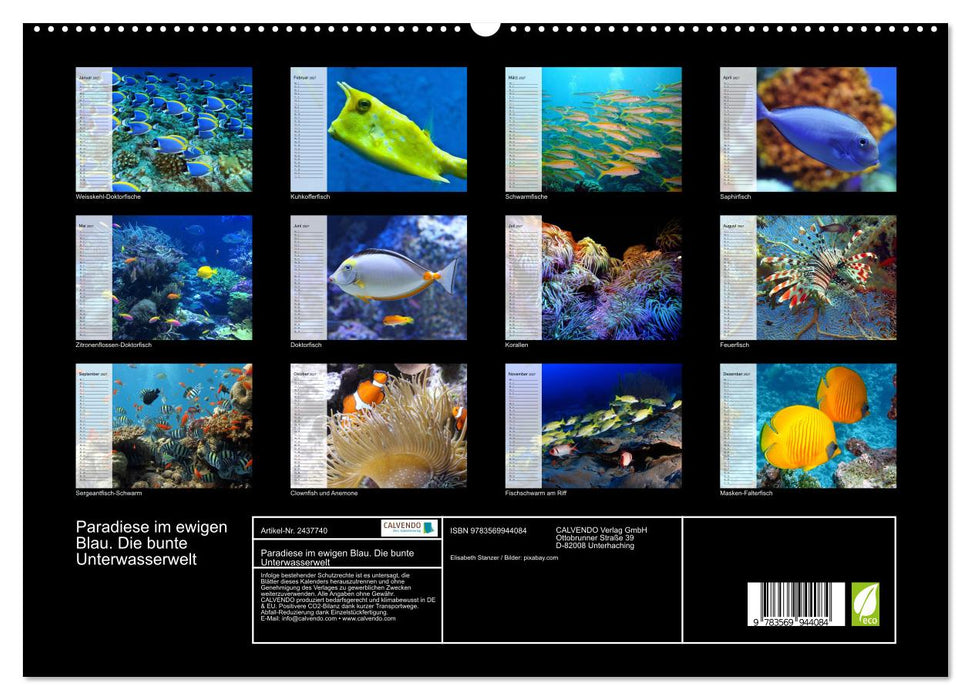 Paradiese im ewigen Blau. Die bunte Unterwasserwelt (CALVENDO Premium Wandkalender 2027)