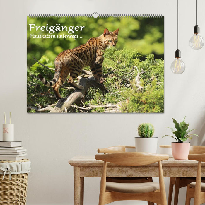 Freigänger - Hauskatzen unterwegs (CALVENDO Wandkalender 2027)