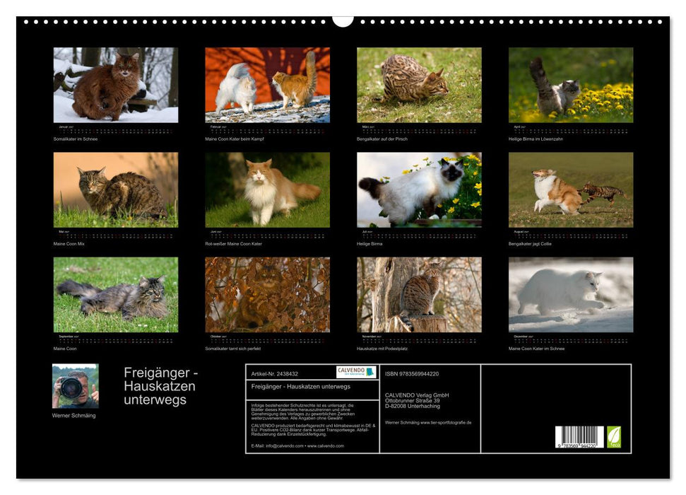 Freigänger - Hauskatzen unterwegs (CALVENDO Wandkalender 2027)