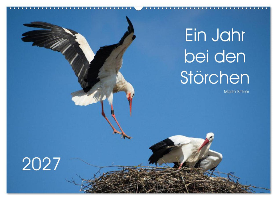 Ein Jahr bei den Störchen (CALVENDO Wandkalender 2027)