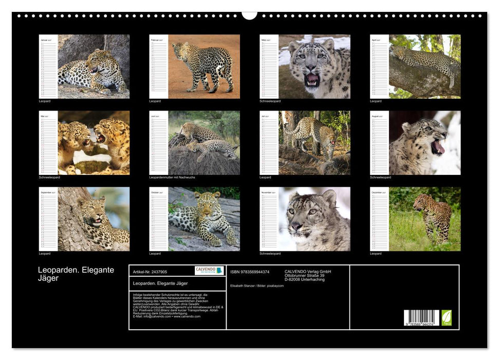 Leoparden. Elegante Jäger (CALVENDO Wandkalender 2027)