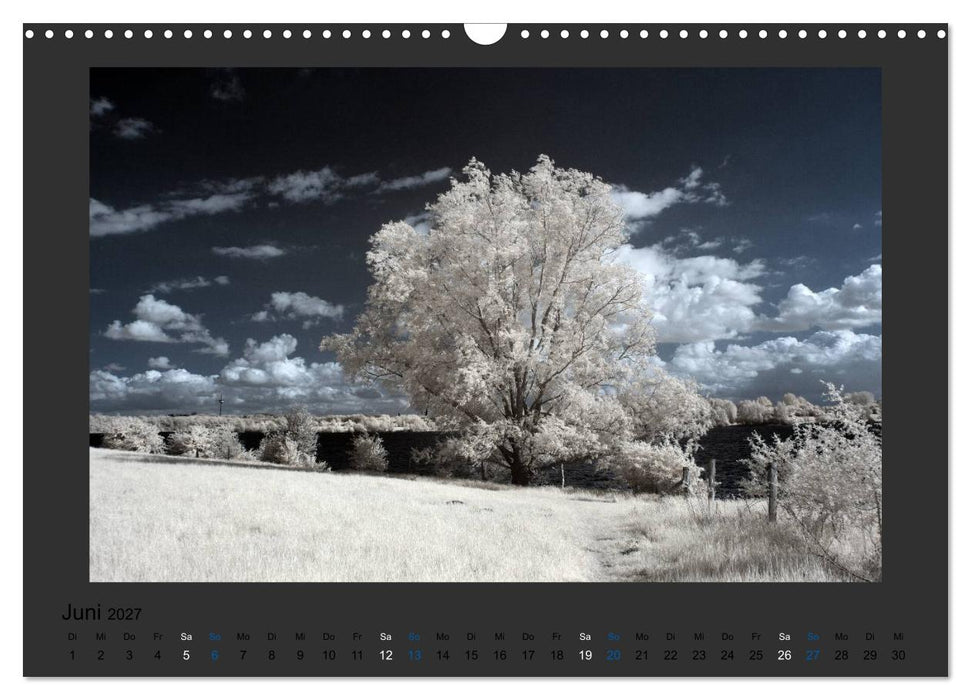 Surreale Landschaften. INFRARROT - Wenn grün zu weiß wird (CALVENDO Wandkalender 2027)
