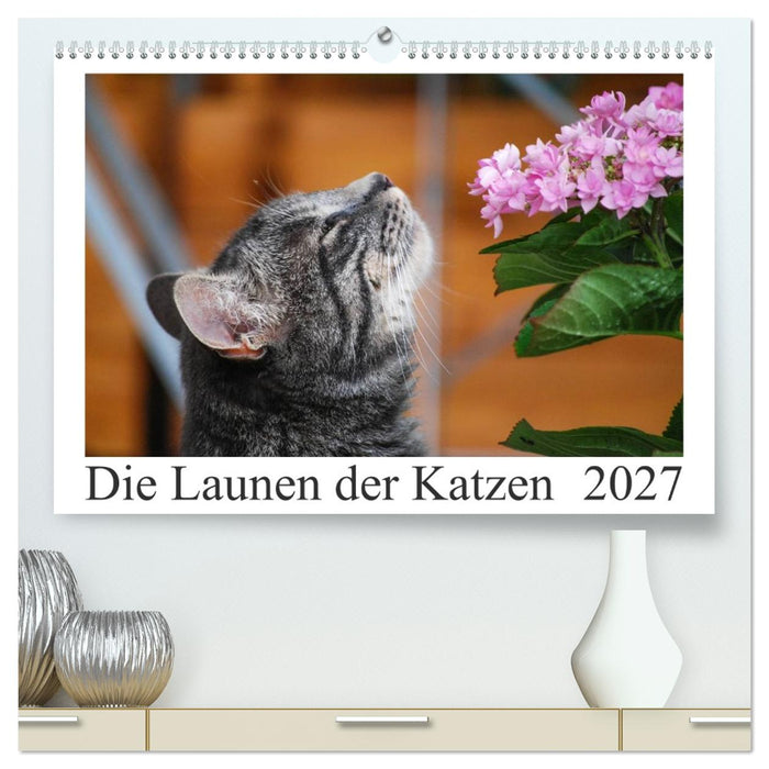 Die Launen der Katzen 2027 (CALVENDO Premium Wandkalender 2027)