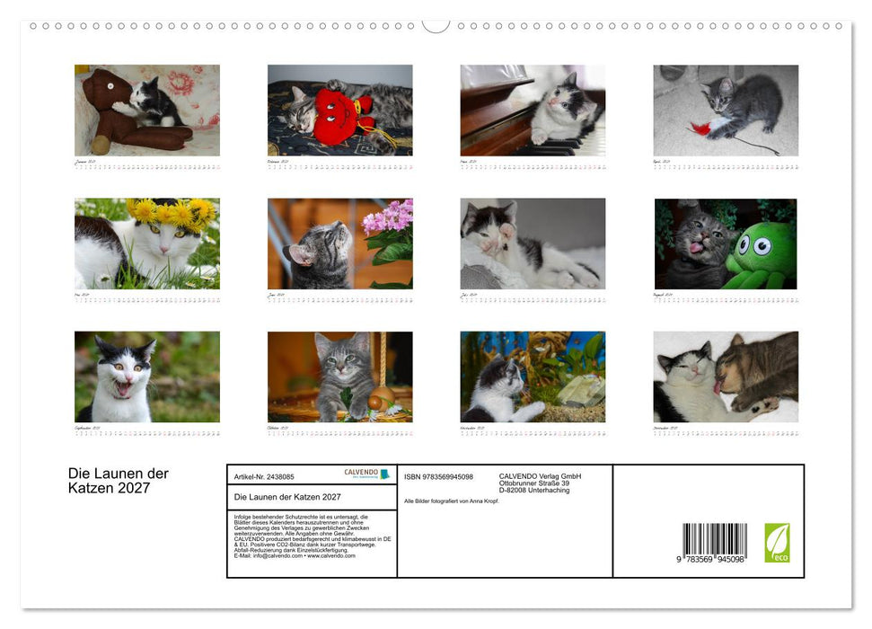 Die Launen der Katzen 2027 (CALVENDO Premium Wandkalender 2027)