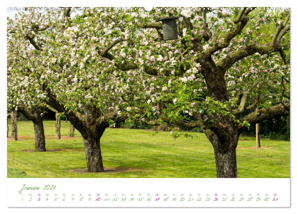 Kreislehrgarten in Steinfurt (CALVENDO Premium Wandkalender 2027)
