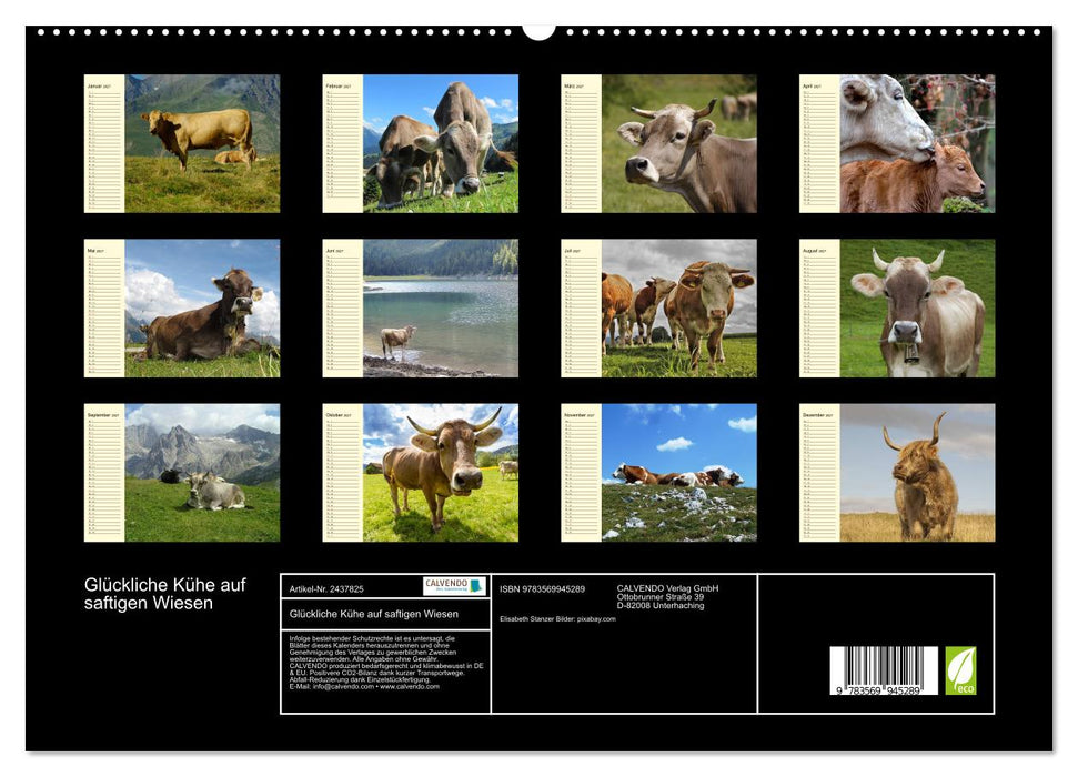 Glückliche Kühe auf saftigen Wiesen (CALVENDO Premium Wandkalender 2027)