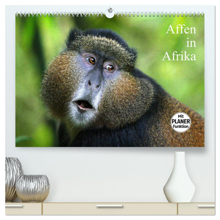 Affen in Afrika (CALVENDO Premium Wandkalender 2027)
