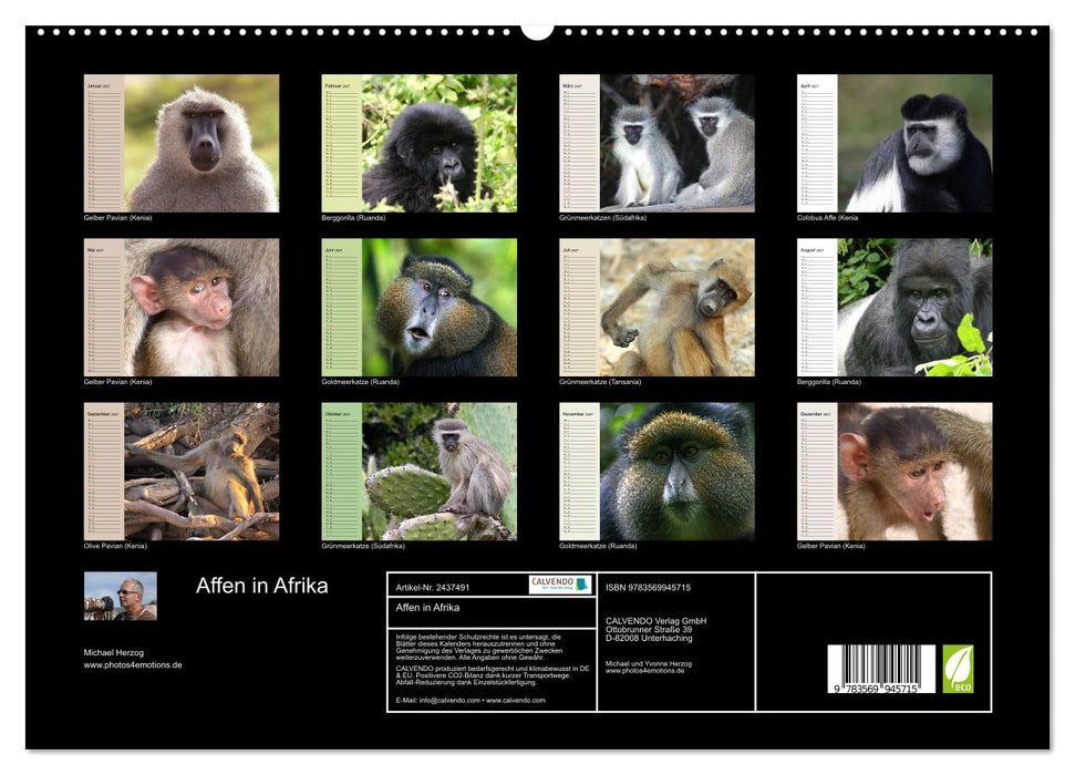 Affen in Afrika (CALVENDO Premium Wandkalender 2027)