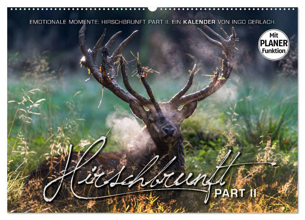 Emotionale Momente: Hirschbrunft. Part II. (CALVENDO Wandkalender 2027)
