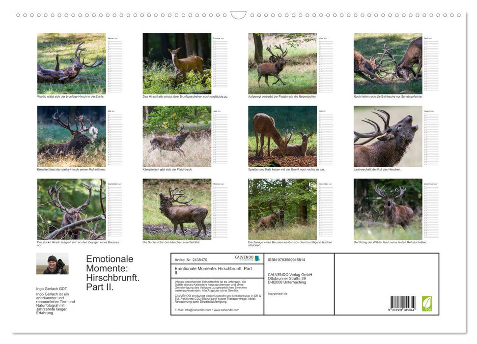 Emotionale Momente: Hirschbrunft. Part II. (CALVENDO Wandkalender 2027)