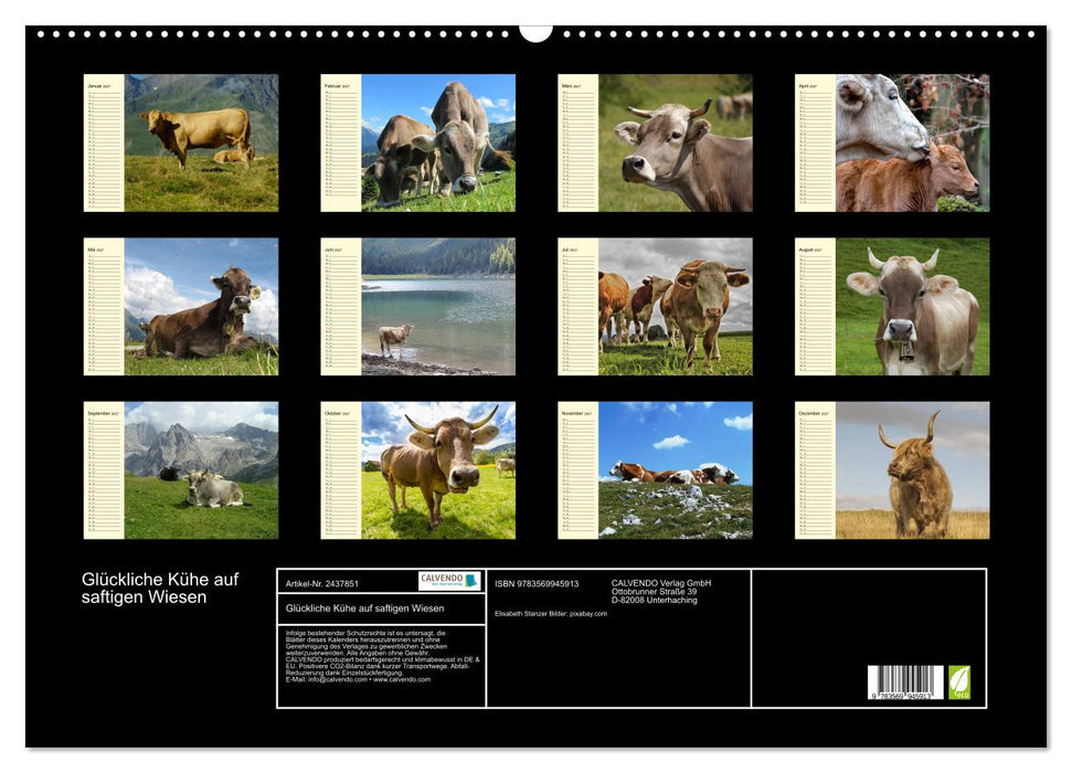 Glückliche Kühe auf saftigen Wiesen (CALVENDO Wandkalender 2027)