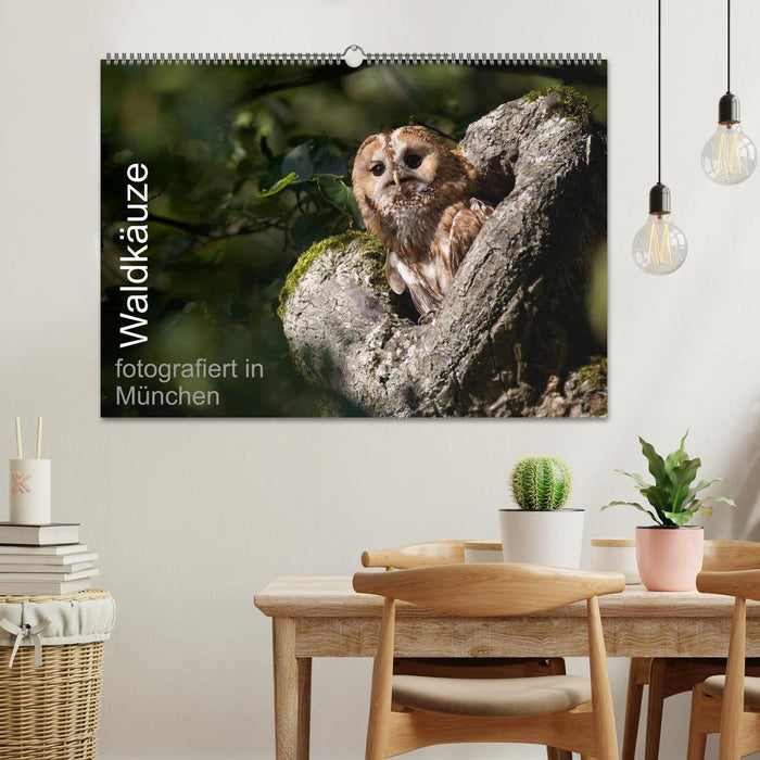 Waldkäuze, fotografiert in München (CALVENDO Wandkalender 2027)