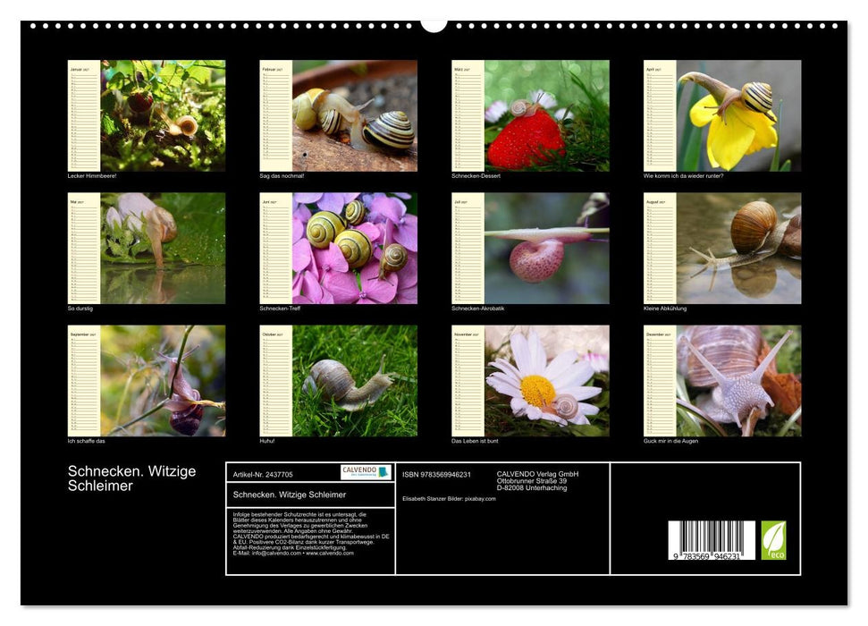 Schnecken. Witzige Schleimer (CALVENDO Premium Wandkalender 2027)