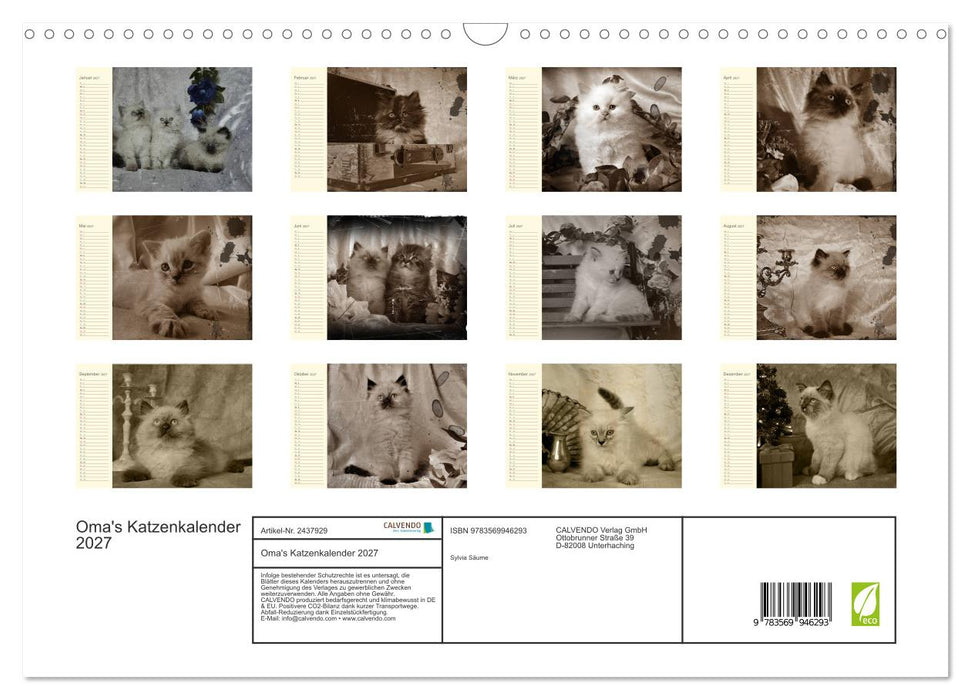 Oma's Katzenkalender 2027 (CALVENDO Wandkalender 2027)